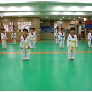 계명태권도 이미지