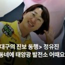 진보태양광발전소 네이버블로그