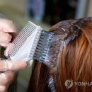 헤나방 이미지