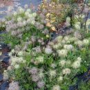 동강농장 이미지