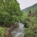 청화산하늘정원 이미지