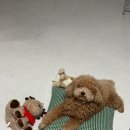 보람의집 이미지