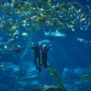 한국해양수조공사 이미지