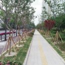 명품가로숲길 네이버블로그