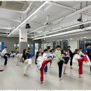 세정태권도장 이미지