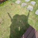 루 스테이 이미지