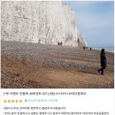 브라이튼아파트 1동외1 놀이시설 | 런던 세븐시스터즈 &amp; 브라이튼, 투어로 한 번에 쉽게 다녀오기!