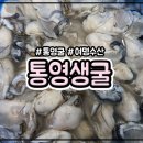 여명수산