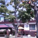 강누리펜션 이미지