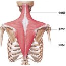 피그말리온짐 봉명센터 네이버블로그