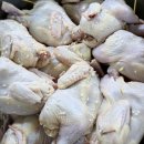 양지농장 이미지