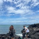 주식회사 뉴제주콜렌트카 | [여행_제주] 아이랑 제주여행 2박3일 준비 ::: 20인치 캐리어 추천, 아시아나 항공, 렌트카,숙박(빌라사계)