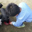 대관령 아기동물농장 이미지