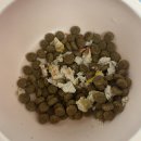 허니스티 펫 베이커리 이미지