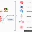 Re: 젖산균 발효, GABA 강화음료, 가바강화 음식 등 2024!! 이미지