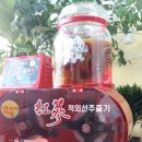 동탄행복건강원
