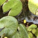 삼계초등학교 이미지