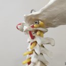 박한의원 이미지