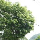 영월군 주천면사무소