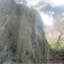 영풍두월리약사여래석불 이미지