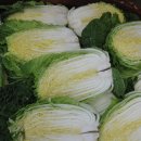 금진농장 이미지