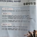 제주동물병원 이미지