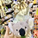 호주면세점 남문시장점 | 호주 시드니여행 패디스마켓 쇼핑리스트 휴무 맛집 포포크림 티셔츠