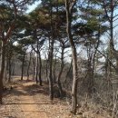 봉화산 솔바람길 이미지