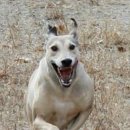 석 농장 이미지