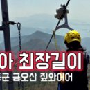한트립 이미지