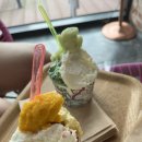 여우별무인텔 이미지