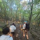 26470-01-21-359 | 한라산 탐방예약 방법과 한라산 등산 예약 꿀팁 아이와 함께 성판악 등반 후기