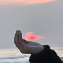 연곡해변솔향기캠핑장