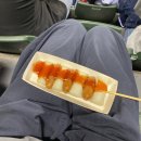 구영415 | 2024 KBO 와일드카드 결정전 1차전 두산 vs KT 직관 후기 / 잠실 외야 시야