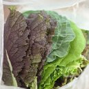 나눔허브 | [이벤트당첨후기] 쌈박스 풀님의 쌈채소 나눔이벤트 당첨후기