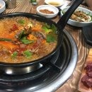 허파집