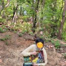 지역아동센터 푸른나무교실 | [성공회 푸른나래지역아동센터]자연 속 책놀이터, 아이들의 마음에 피어난 글꽃숲 🌸