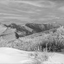 고향이야기 이미지