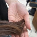 사평대로55길 149 | 논현미용실 리안헤어 논현역점 하오니코 클리닉 시술 후기