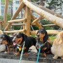 개러리아 송파점 이미지