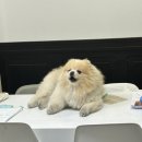 라벨라왁싱 부산서면점 | 부산 서면 왁싱, 그 여자가 예뻐진 이곳 부산서면점 헤어라인 왁싱 후기