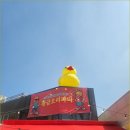 황금오리파티