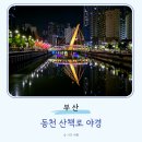 남동천로 | 부산 걷기좋은곳 동천 산책로 남동천로 야경 수질상태