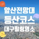 앞산 숲 속 동화나라 | [대구 앞산전망대 등산코스] 연휴 칼로리 뱃살 태우는 2시간! 가족과 함께 ‘핸드폰 디톡스 다이어트...
