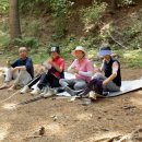 더숲요양병원 이미지