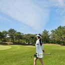 주식회사 미라클 바이러스 | 질염관리 여성청결제 세븐데이즈미라클 Y존 이너세럼 추천