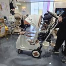 붕붕카인테리어 | 성남 베이비스토리 푸쉬카 추천 유아붕붕카 씨투엠뉴 코지 푸쉬카