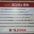 거진항코다리 이미지