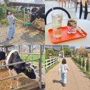 청원목장 | 청주 목장 카페 다래목장 아이랑 갈만한곳 추천 동물체험 가능