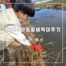 영농조합법인시목 이미지